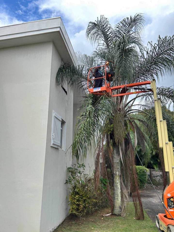 Nettoyage extérieur Martinique